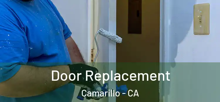 Door Replacement Camarillo - CA
