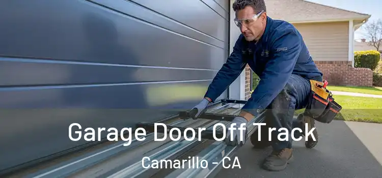  Garage Door Off Track Camarillo - CA