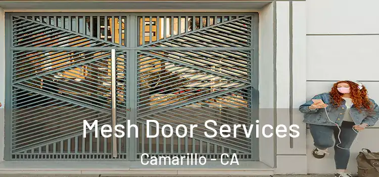 Mesh Door Services Camarillo - CA
